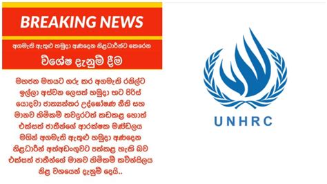 Read All Latest Updates On And About එක්සත් ජාතීන්ගේ මානව හිමිකම් කවුන්සිලය