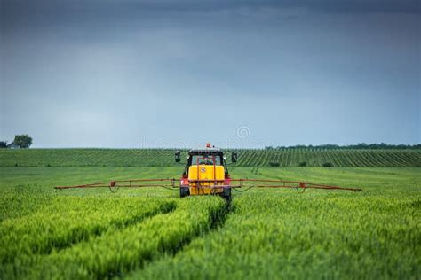 Trator De Cultivo Que Ara E Que Pulveriza No Campo De Trigo Foto De