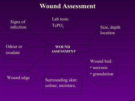 Types Of Wound Healing Primary Secondary Tertiary And Stages Zohal