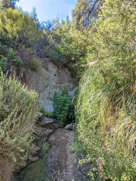 Favorite Local Hike: Temescal Canyon Trail, a Quick Guide — Brassy