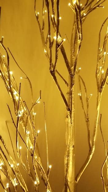 Premium Photo Close Up Of Snow Covered Plants