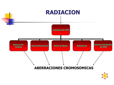 Efectos Biologicos Radiaciones Ionizantes PPT