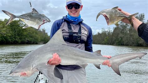 The Noosa River Is Full Of Sharks Amazing Bull Shark Fishing Youtube