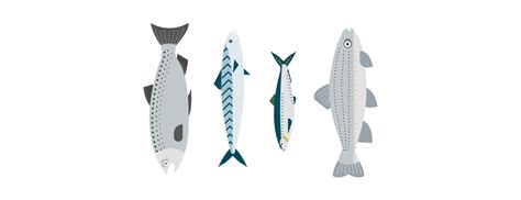 Best Fish To Eat 11 Healthy Options