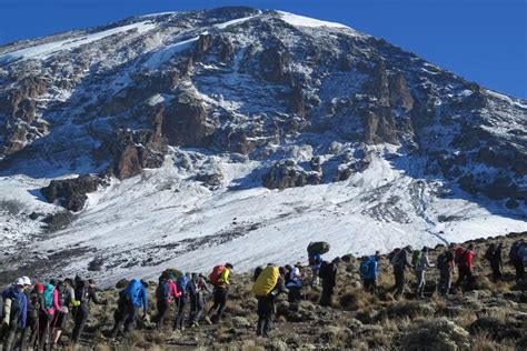 Days Nights Machame Route Mount Kilimanjaro Trekking Route Mt