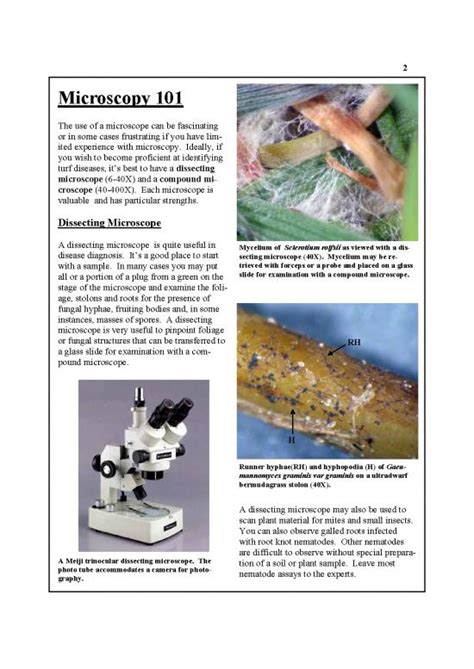 Alan Windham Microscopic Identification Of Turfgrass Diseases Stma