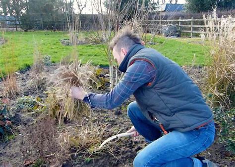 How To Prune Ornamental Grasses The Easy Way Garden Ninja Ltd Garden