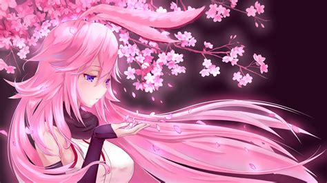 Pink Anime Desktop Wallpapers Top Free Pink Anime Desktop Backgrounds Wallpaperaccess