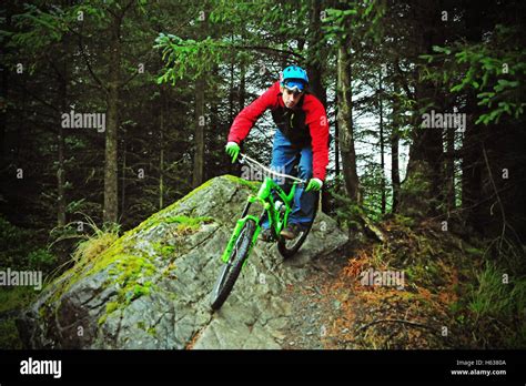 Davagh Forest Trail Northern Ireland Editorial Use Only Stock Photo