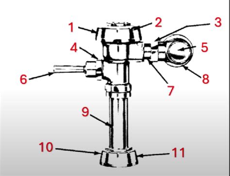 sloan flush valve diagram quizlet