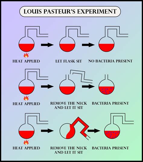 Louis Pasteur’s view on the origin of life is that(a) Life originated ...