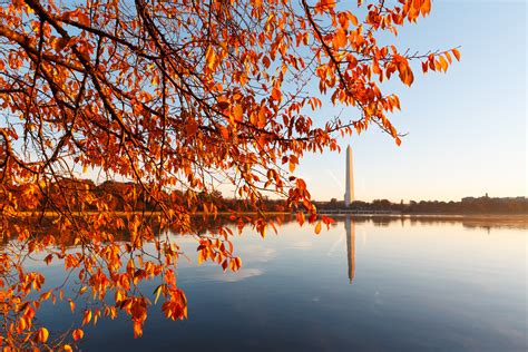 The Best Places for Fall Foliage in Washington, DC — Mark Alan Andre