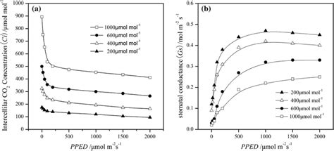 Changes Of Intercellular Co Concentration Ci And Stomatal