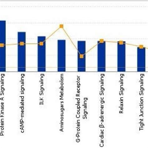 The Top Canonical Pathways By Significantly Overexpressed Genes