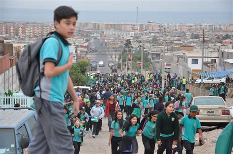 M S De Mil Estudiantes De Todos Los Niveles Educacionales