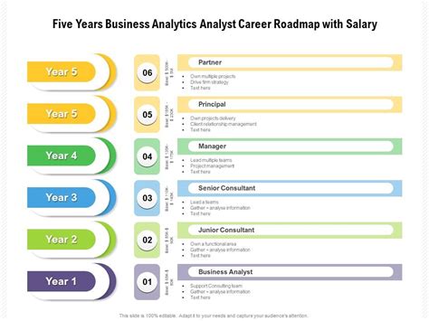 Five Years Business Analytics Analyst Career Roadmap With Salary Summary