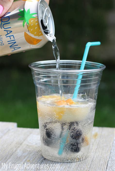 Fruit Infused Sparkling Water My Frugal Adventures