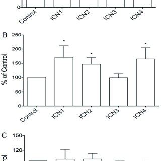 The Effects Of Notch Signaling Activation On Cell Proliferation In