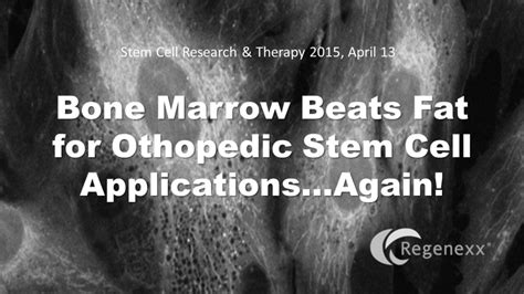 More Research That Bone Marrow Beats Fat For Orthopedic Applications Regenexx®