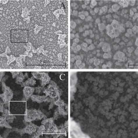 SEM SE Micrographs Of Mn Oxide Rod Formation Deposition Times Were