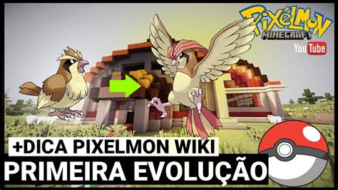 Evoluimos Nosso PRIMEIRO POKEMON Pixelmon WIKI Pixelmon Minecraft 3