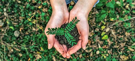 Sencillos Gestos Para Cuidar El Medioambiente Blog Equivalenza