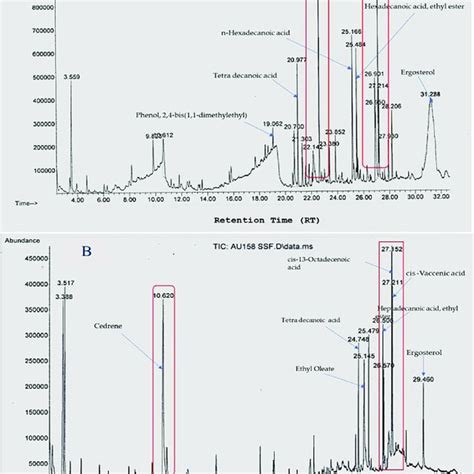 Chromatograms Of The Volatile Organic Compounds Identified From T