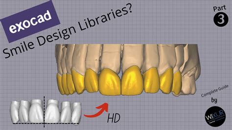 Tooth Models In Action Tooth Libraries Part Youtube