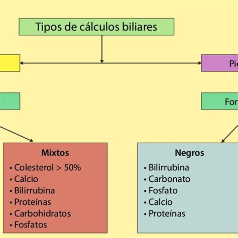 Incisión Subcostal Derecha O Incisión De Kocher Utilizada Para
