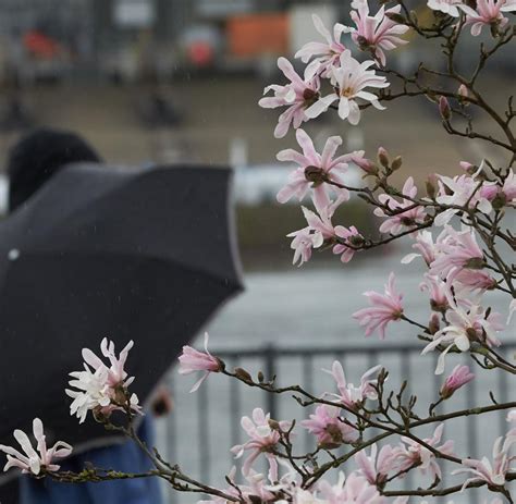 Regen Und Graupel In Rheinland Pfalz Und Dem Saarland WELT