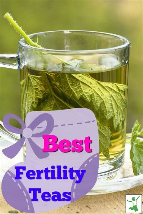 The Top 3 Fertility Herbs For Fast And Easy Conception Artofit