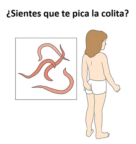 Comunidad Biológica on Twitter SIENTES QUE TE PICA LA COLITA