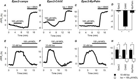 Effect Of Direct Adenylyl Cyclase AC Inhibition On Basal And B