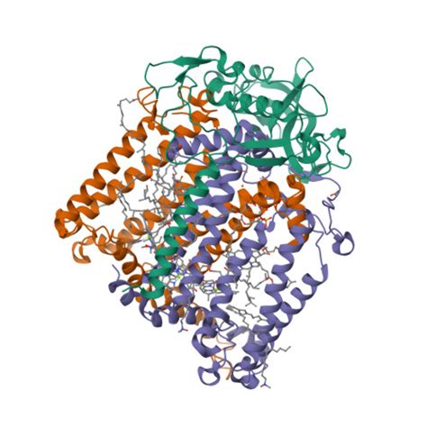 Rcsb Pdb Z D Structure Of Photosynthetic Reaction Center From