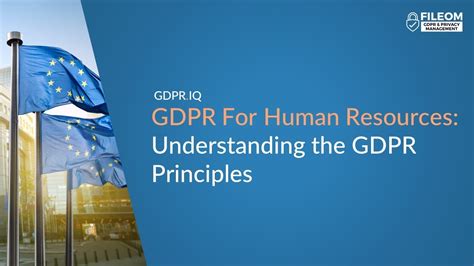 Gdpr For Human Resources Understanding The Gdpr Principles Youtube