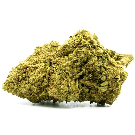 White Widow Fleur Cbd Achat Green Owl Cbd Shop France