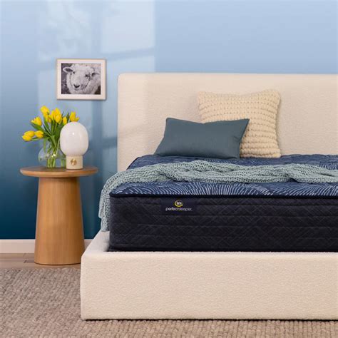 Cobalt Calm Plush Twin Matt Babettes Furniture And Home