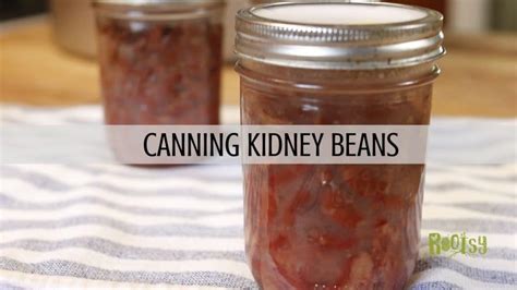 Canning Kidney Beans Rootsy Network