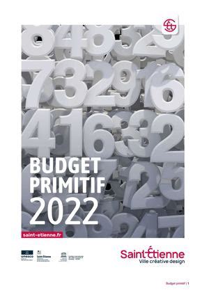 Calam O Budget Primitif Rapport