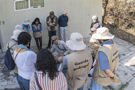 La Conservaci N De La Reserva Ecol Gica Del Pedregal De San Ngel A