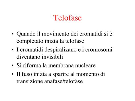 Ciclo Cellulare S Beninati Ppt Scaricare