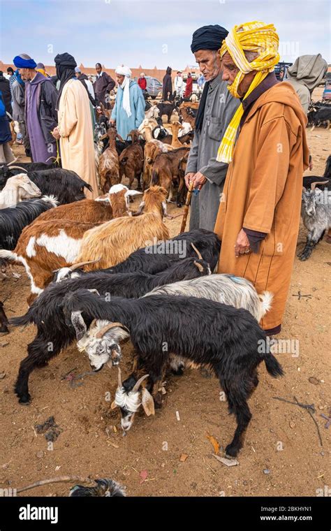 Morocco Guelmim Oued Noun Region Saturday Souk Stock Photo Alamy