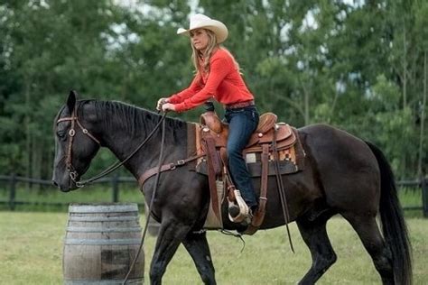 30 Heartland Horse Names List (Heartland TV Show)