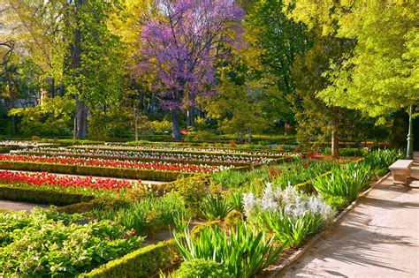 Real Jardín Botánico De Madrid Vibrancy And Vitality Go Guides