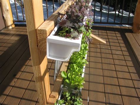 Vertical Gutter Gardens | Peak Prosperity