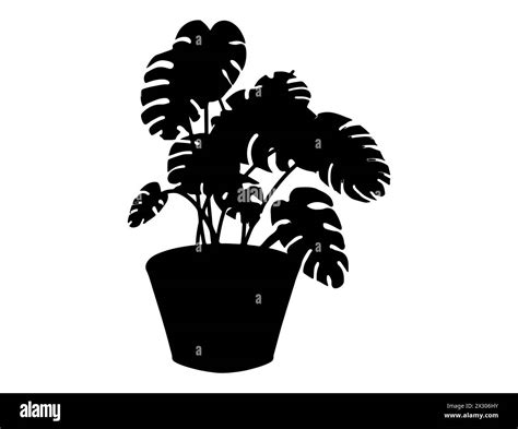 Tropical Plant Silhouette Vector Art Stock Vector Image And Art Alamy