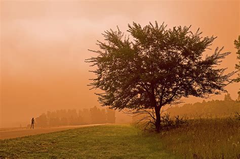 Lone Rollerblader In The Fog Photograph By Dave Reede Pixels