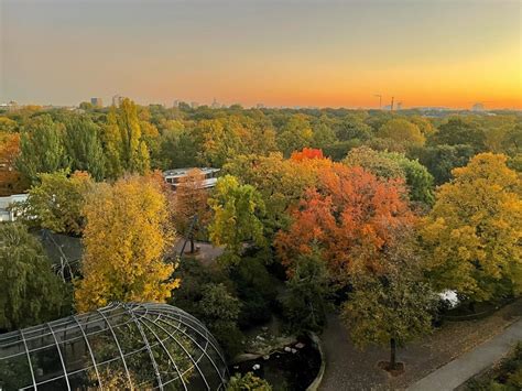 Guide To Visiting Tiergarten Park In Berlin Berlin Travel Tips