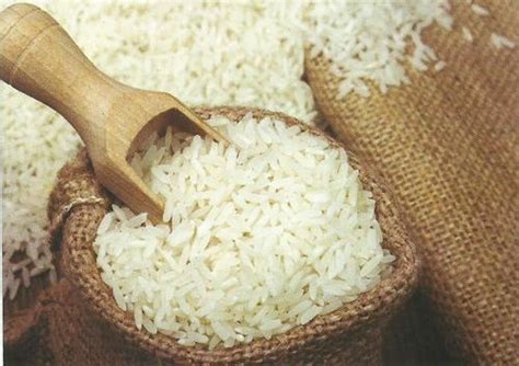 Traditional Raw Basmati Rice Manufacturer Supplier From Karnal