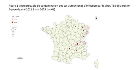 Enc Phalite Aux Tiques Attention Aux Piq Res De Tiques Cet T